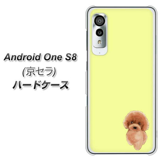 Android One S8 YJ051 トイプードルレッド（イエロー） ハードケース 背面印刷