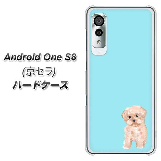 Android One S8 YJ062 トイプードルアプリコット（ブルー） ハードケース 背面印刷