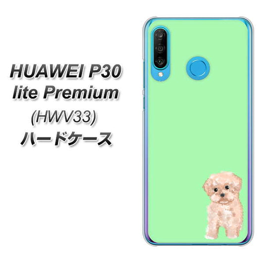 HUAWEI P30 lite Premium HWV33 au YJ063 トイプードルアプリコット（グリーン） ハードケース 背面印刷