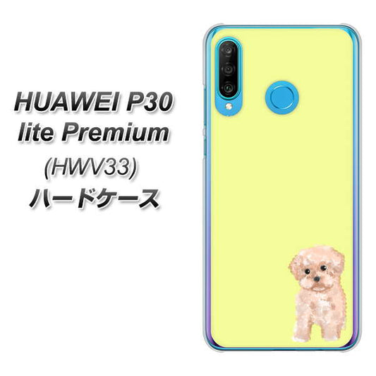 HUAWEI P30 lite Premium HWV33 au YJ064 トイプードルアプリコット（イエロー） ハードケース 背面印刷