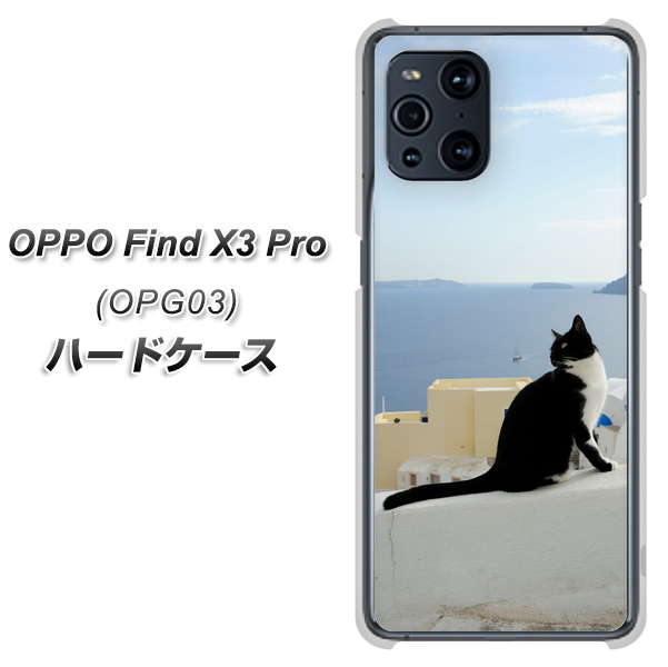 OPPO Find X3 Pro OPG03 au VA805 ネコと地中海 ハードケース 背面印刷