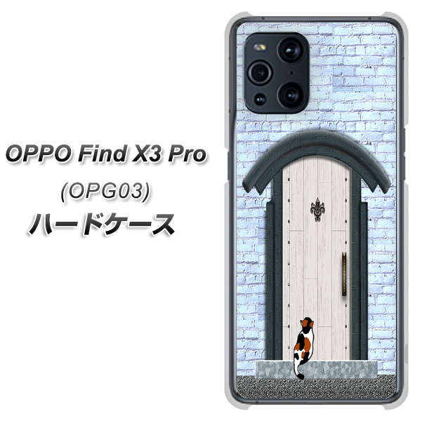 OPPO Find X3 Pro OPG03 au YA951 石ドア01 ハードケース 背面印刷