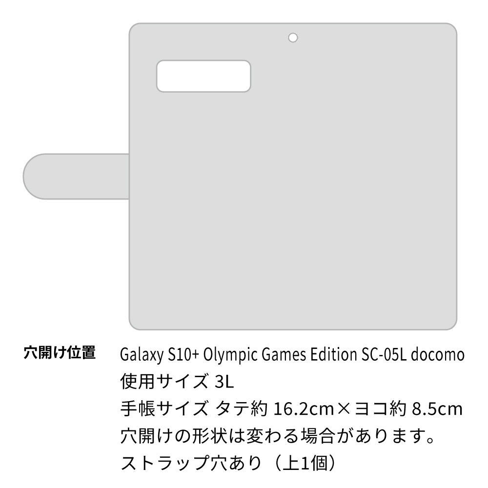 Galaxy S10+ Olympic Games Edition SC-05L docomo YA970 魔法のドア05 薄型スリム プリント手帳型ケース