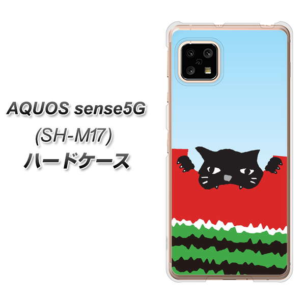 AQUOS sense5G SH-M17 IA815 すいかをかじるネコ(大) ハードケース 背面印刷