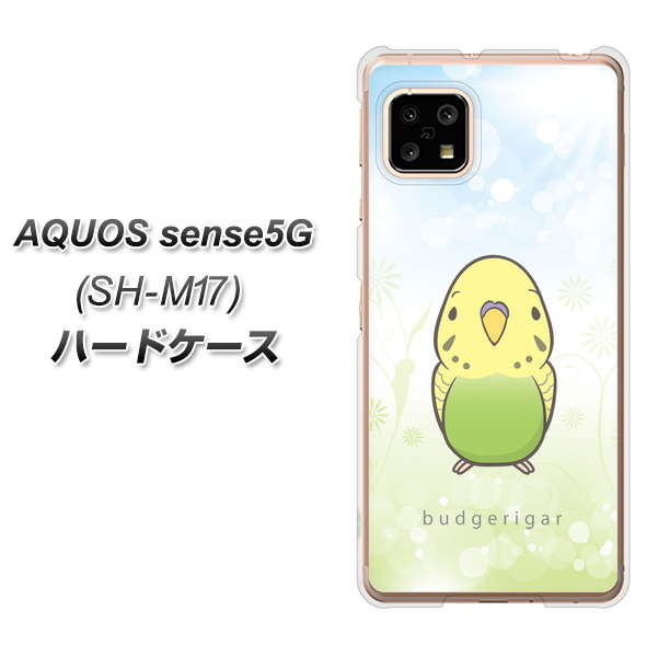 AQUOS sense5G SH-M17 SC838 セキセイインコ グリーン ハードケース 背面印刷