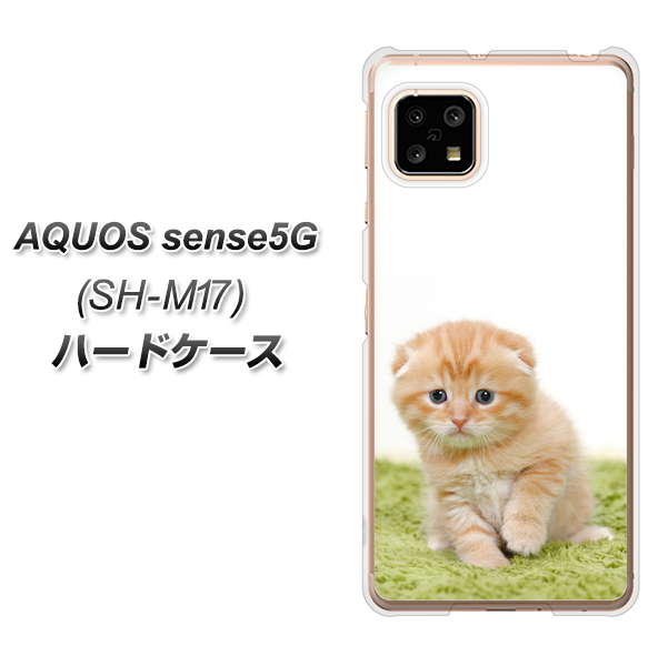 AQUOS sense5G SH-M17 VA802 ネコこっそり ハードケース 背面印刷
