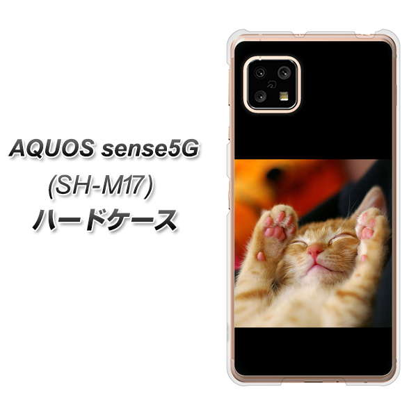 AQUOS sense5G SH-M17 VA804 爆睡するネコ ハードケース 背面印刷