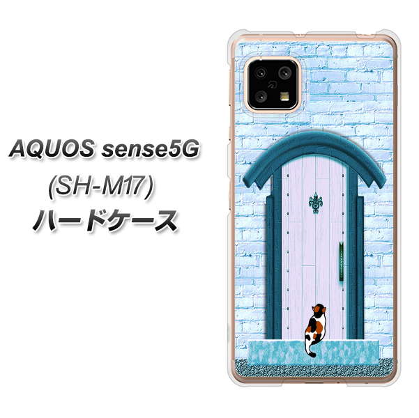 AQUOS sense5G SH-M17 YA953 石ドア03 素材クリア ハードケース 背面印刷