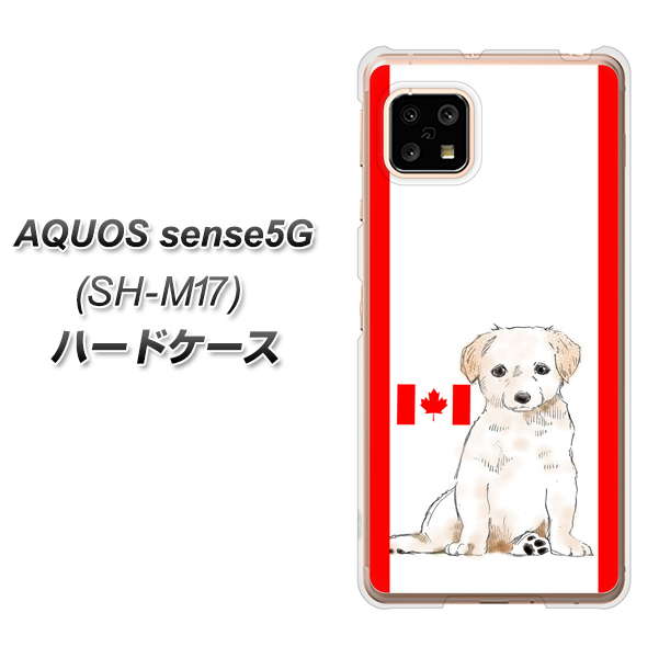 AQUOS sense5G SH-M17 YD824 ラブラドールレトリバー05 ハードケース 背面印刷