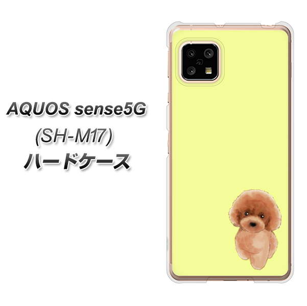 AQUOS sense5G SH-M17 YJ051 トイプードルレッド（イエロー） ハードケース 背面印刷