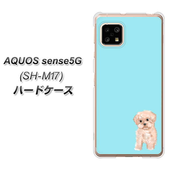 AQUOS sense5G SH-M17 YJ062 トイプードルアプリコット（ブルー） ハードケース 背面印刷