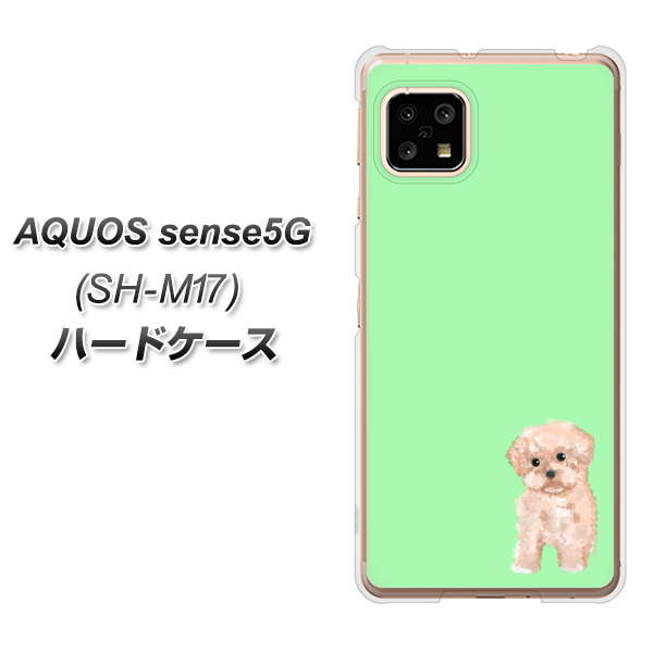 AQUOS sense5G SH-M17 YJ063 トイプードルアプリコット（グリーン） ハードケース 背面印刷