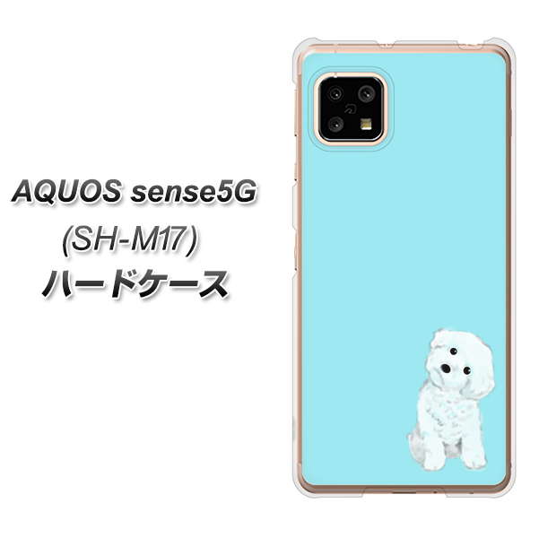AQUOS sense5G SH-M17 YJ070 トイプードルホワイト（ブルー） ハードケース 背面印刷