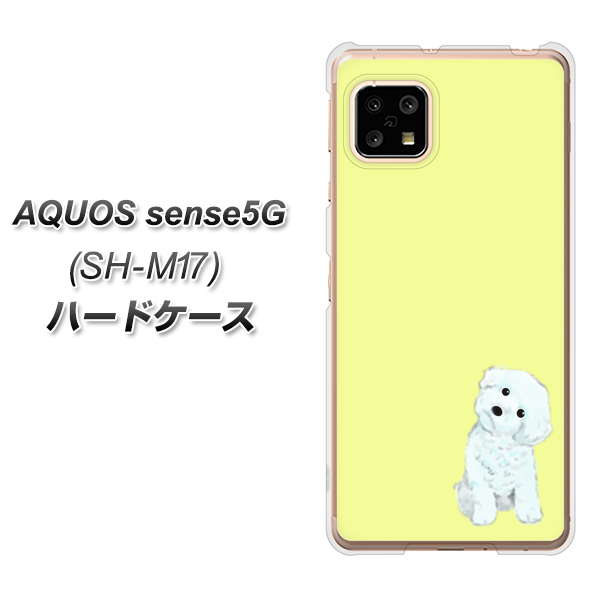 AQUOS sense5G SH-M17 YJ072 トイプードルホワイト（イエロー） ハードケース 背面印刷