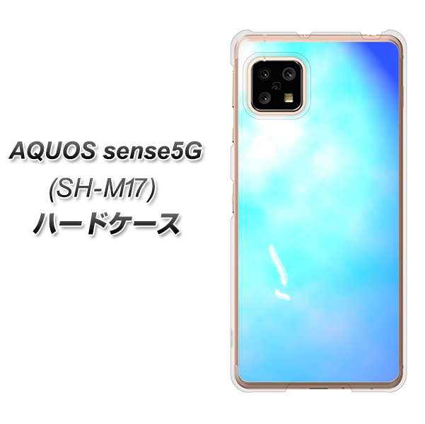 AQUOS sense5G SH-M17 YJ291 デザイン 光 ハードケース 背面印刷