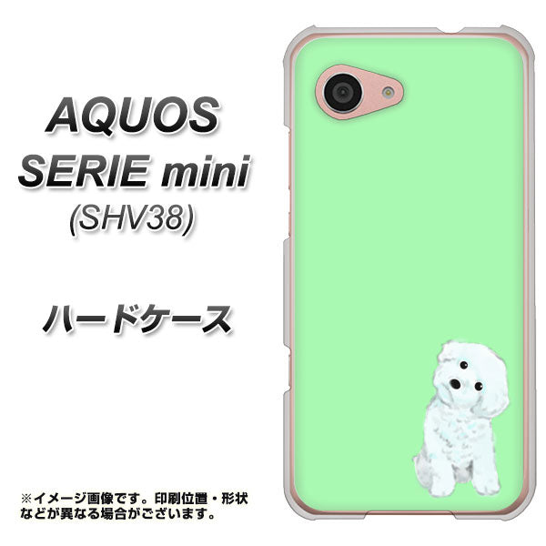 AQUOS SERIE mini SHV38 au YJ071 トイプードルホワイト（グリーン） ハードケース 背面印刷