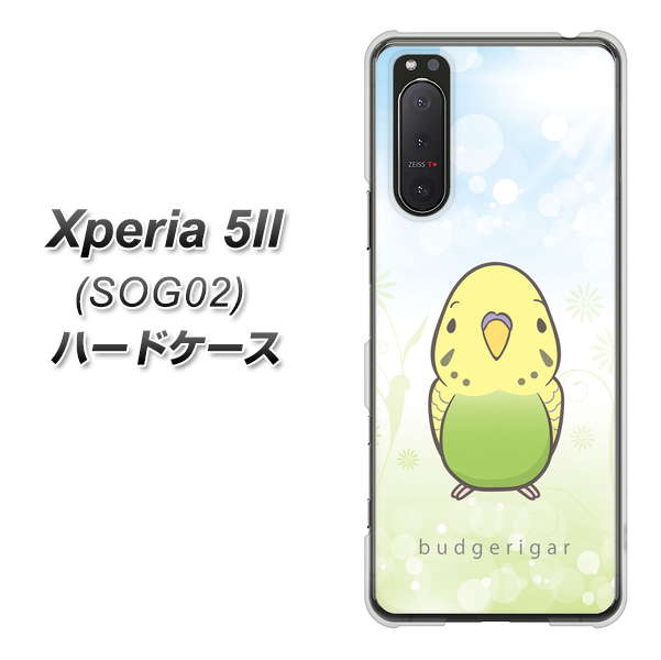 Xperia 5 II SOG02 au SC838 セキセイインコ グリーン ハードケース 背面印刷
