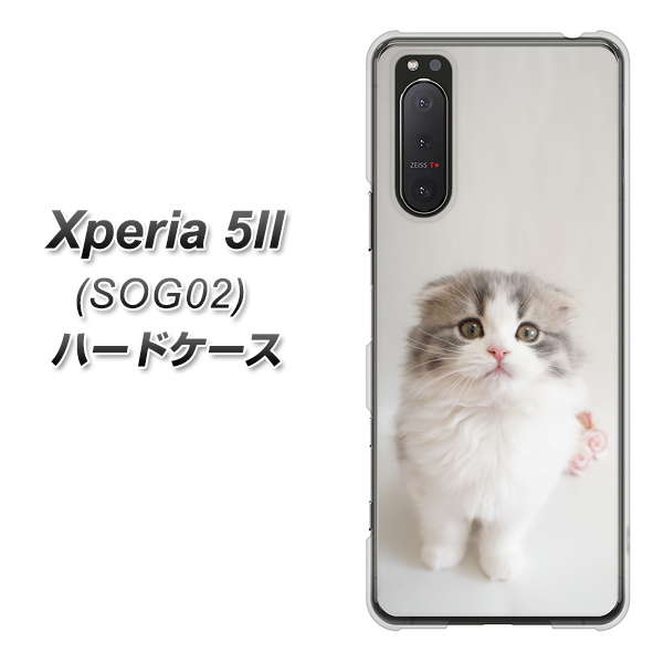 Xperia 5 II SOG02 au VA803 まっていますネコ ハードケース 背面印刷
