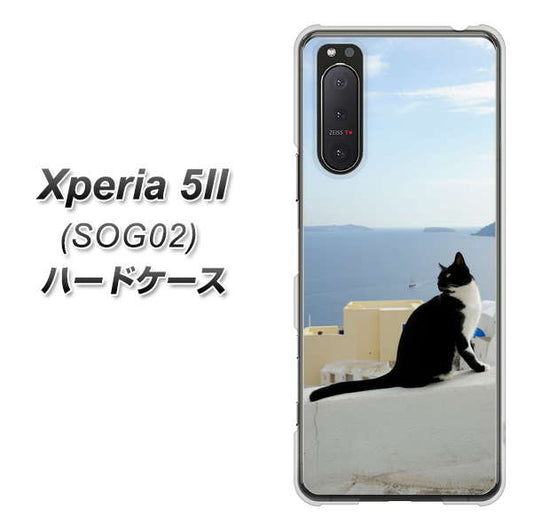 Xperia 5 II SOG02 au VA805 ネコと地中海 ハードケース 背面印刷